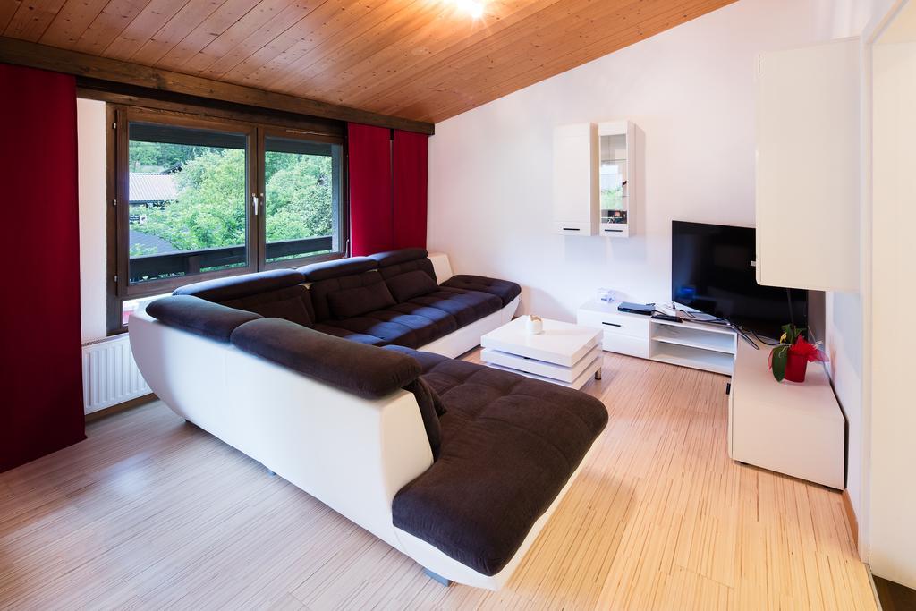 W & S Executive Apartments - Hallstatt I Экстерьер фото