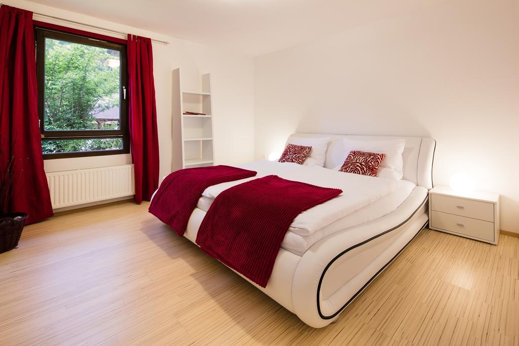 W & S Executive Apartments - Hallstatt I Экстерьер фото
