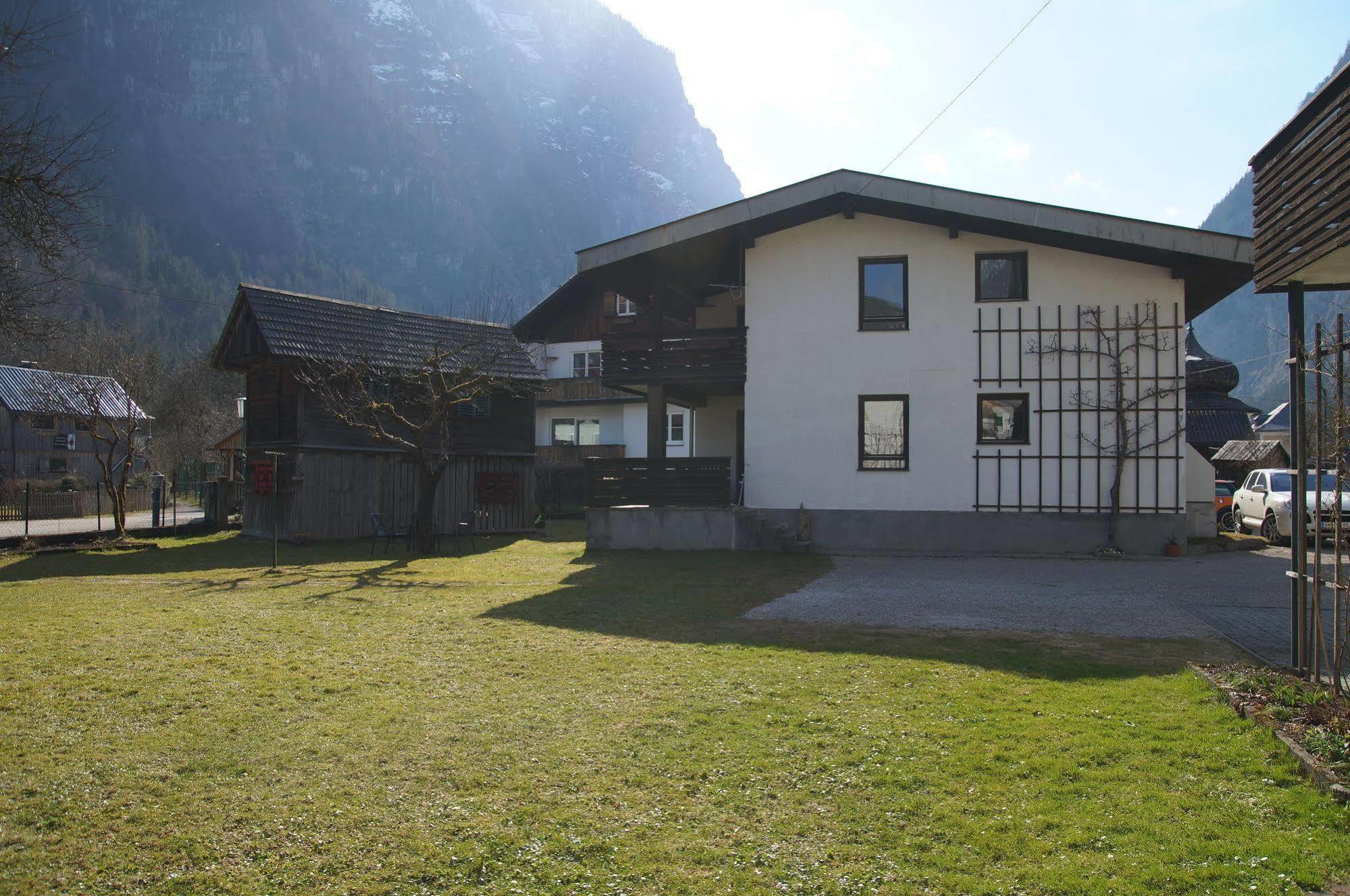 W & S Executive Apartments - Hallstatt I Экстерьер фото
