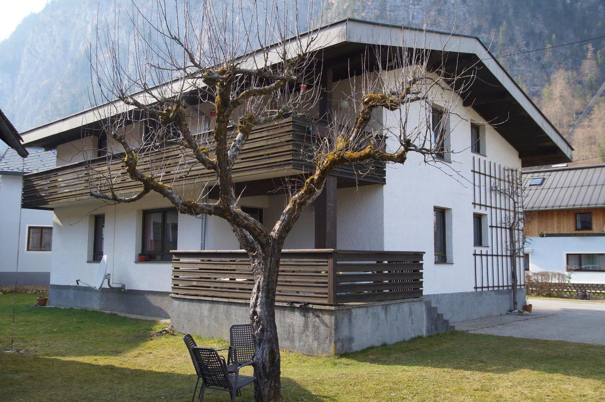 W & S Executive Apartments - Hallstatt I Экстерьер фото